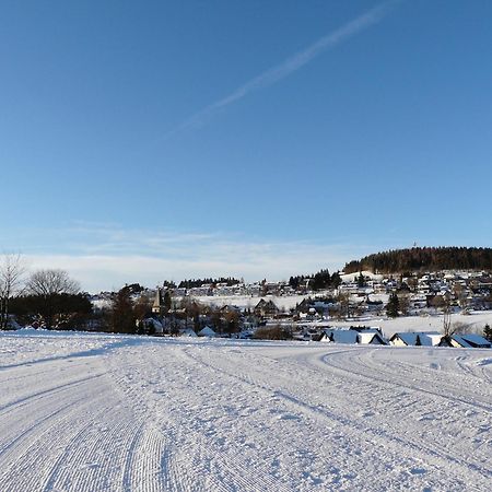 Landfein Big Country House Winterberg Esterno foto