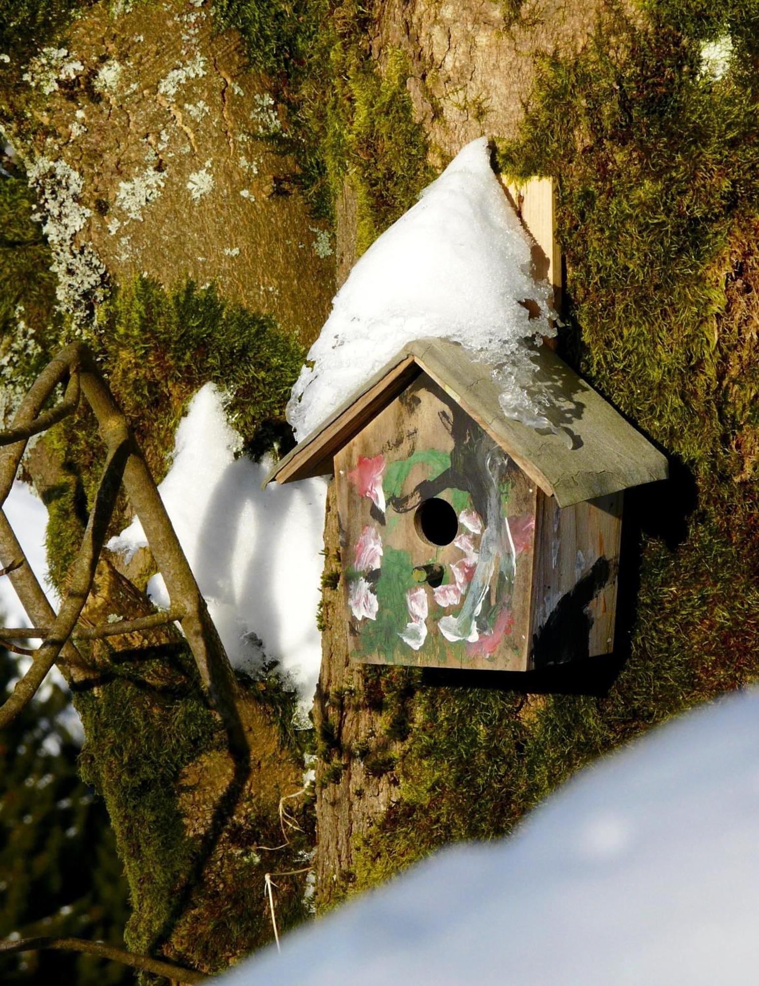 Landfein Big Country House Winterberg Esterno foto