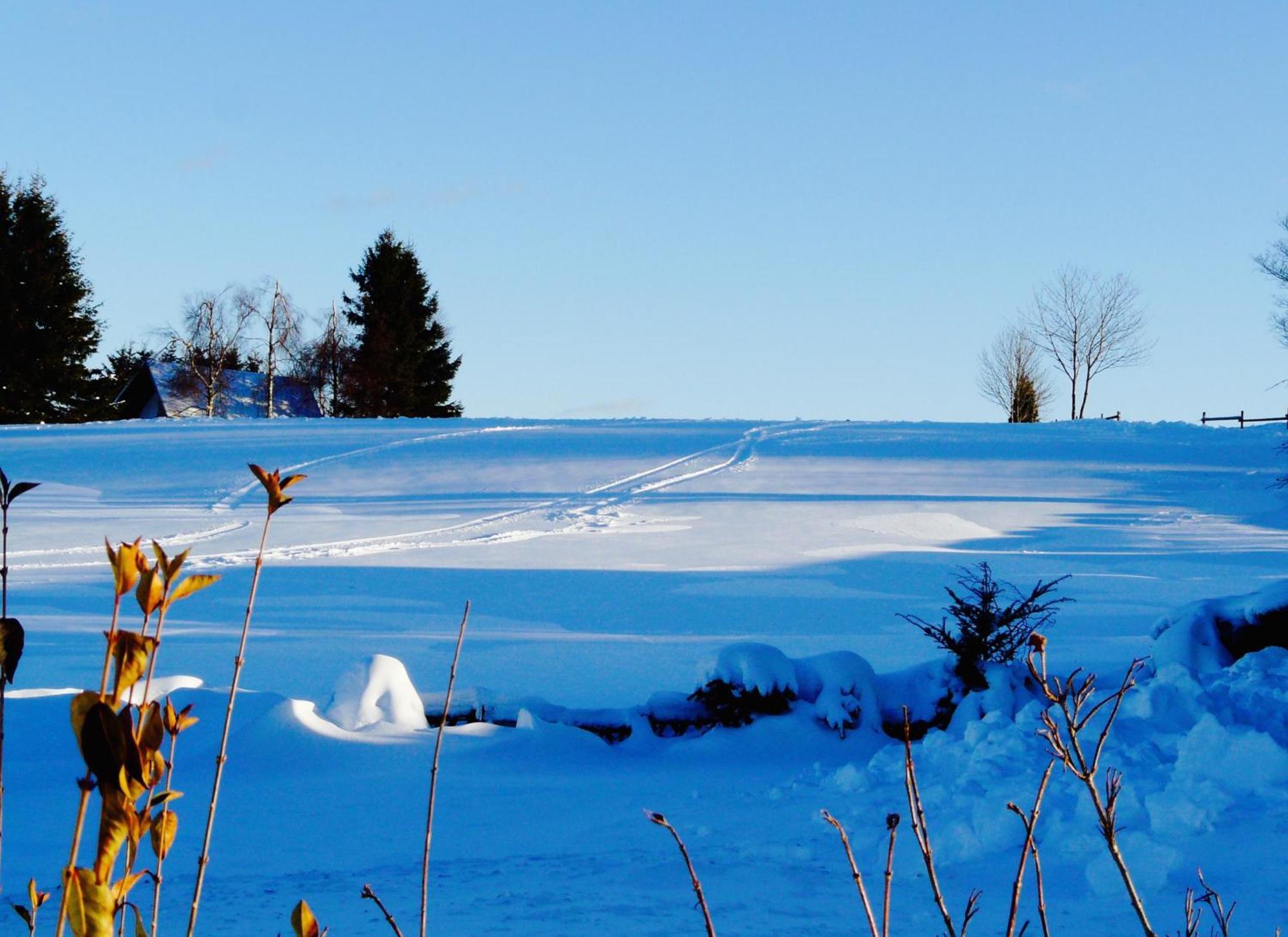 Landfein Big Country House Winterberg Esterno foto